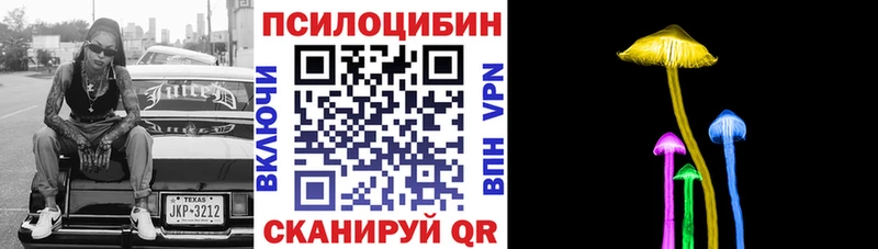 закладка  Вичуга  Галлюциногенные грибы MAGIC MUSHROOMS 
