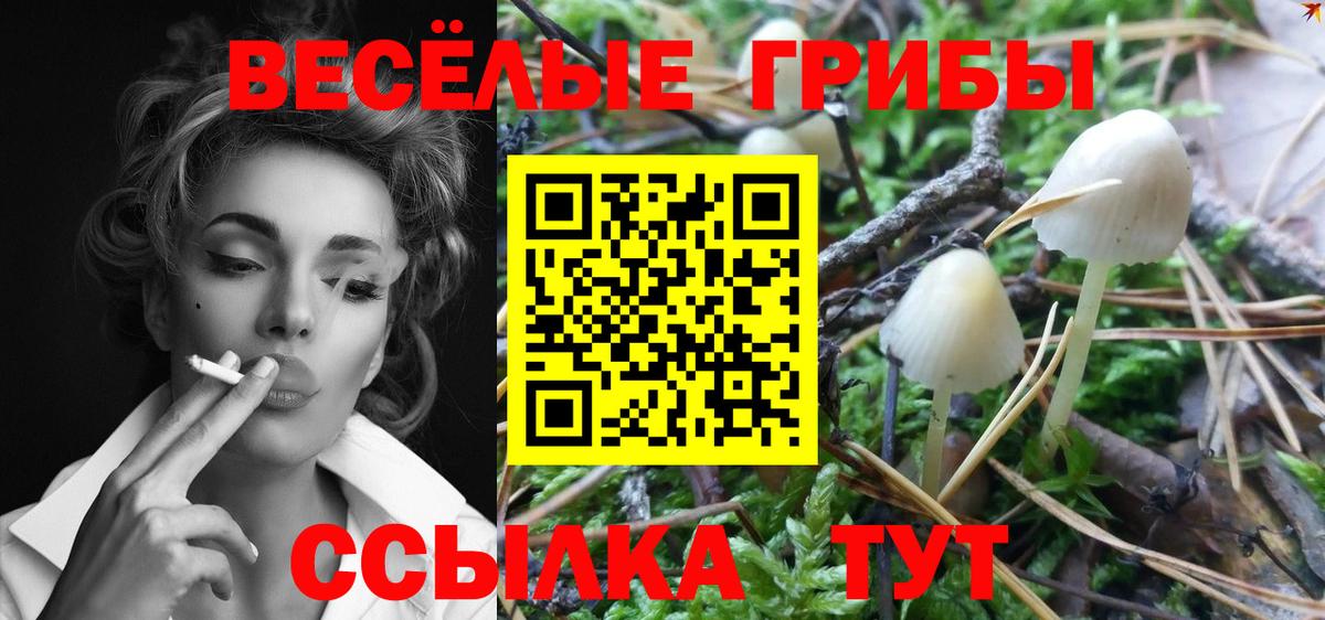 Галлюциногенные грибы Cubensis Вичуга