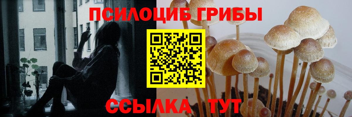 Галлюциногенные грибы Magic Shrooms  Вход с VPN  Вичуга 