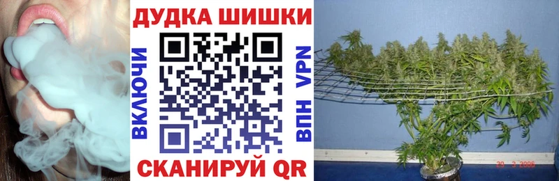 Бошки марихуана THC 21%  Вичуга 